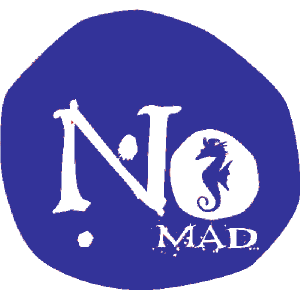 logo-nomad-600-bleu